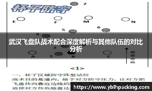 武汉飞盘队战术配合深度解析与其他队伍的对比分析